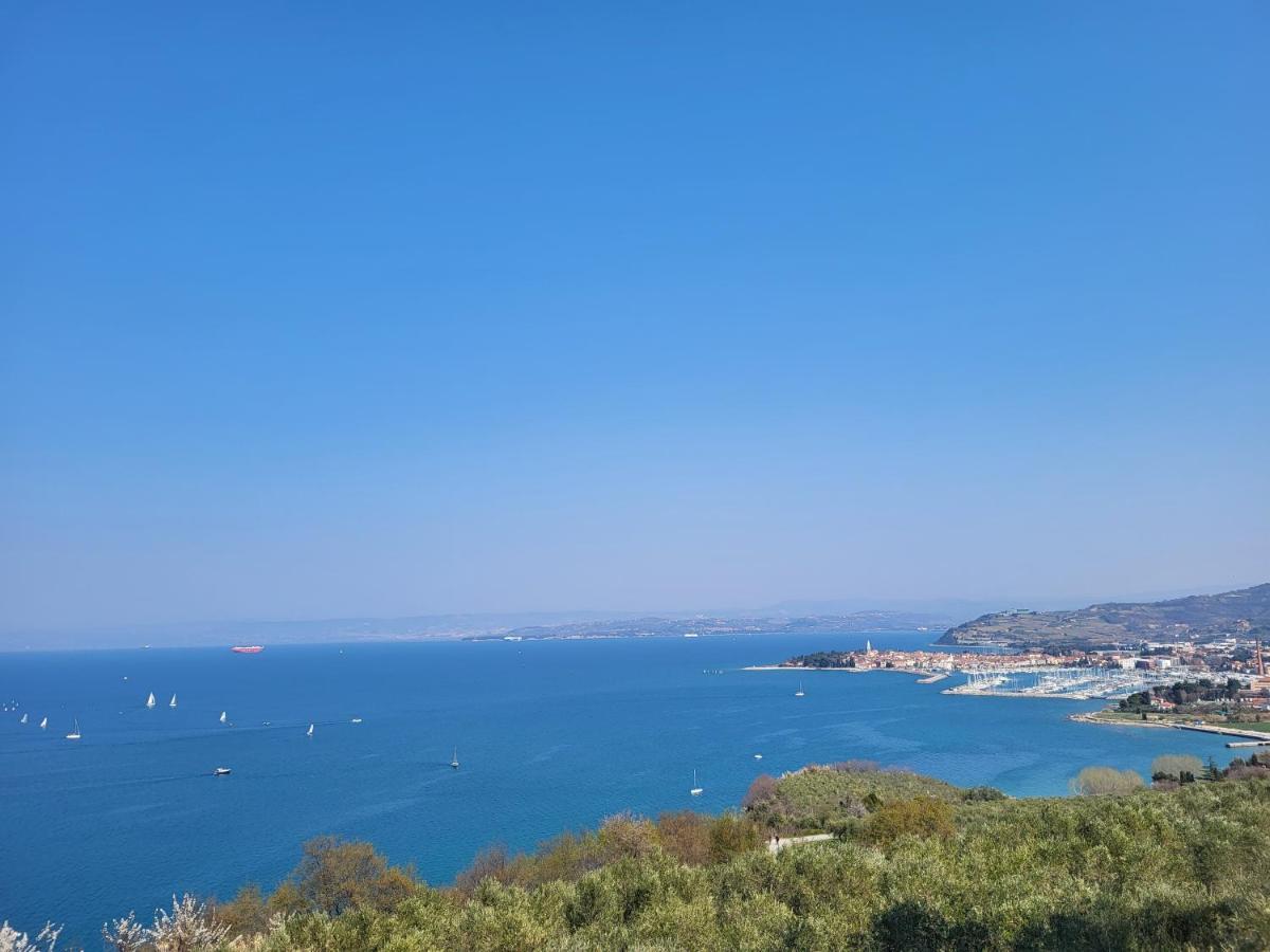 Apartmaji Tim Izola Εξωτερικό φωτογραφία